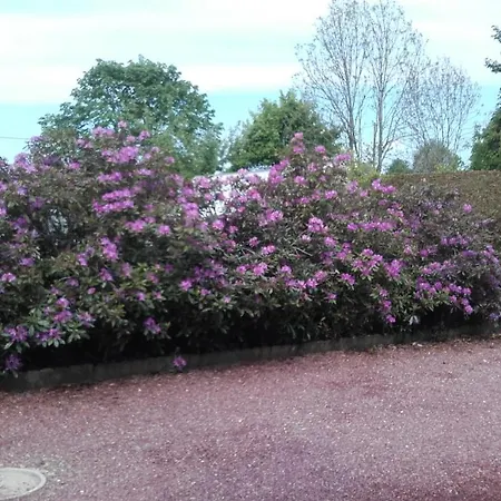 منزل للإقامة Chez Lili *