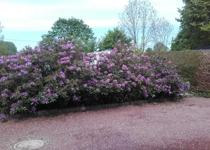 Homestay Chez Lili *